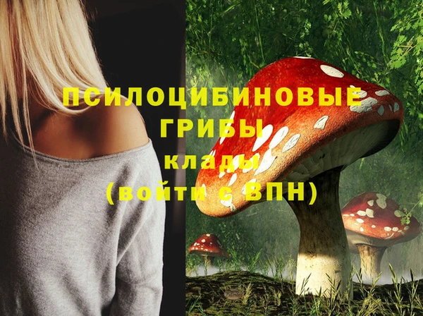 меф Осташков