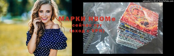 индика Нягань