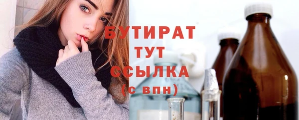 индика Нягань