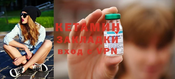 индика Нягань