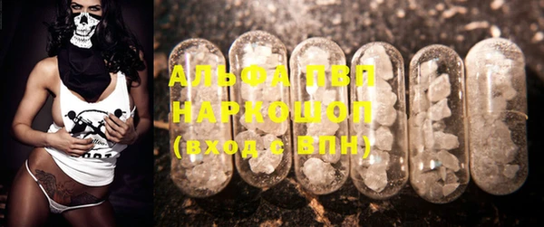 индика Нягань