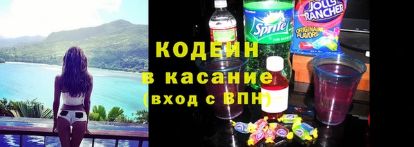 индика Нягань