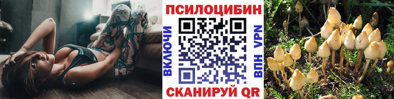 Галлюциногенные грибы прущие грибы  shop наркотические препараты  Октябрьский 