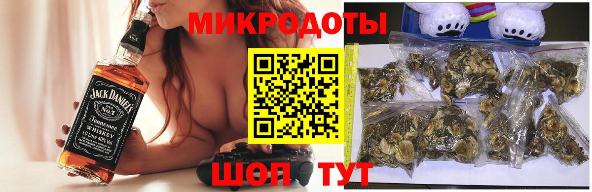 Галлюциногенные грибы Psilocybe  Октябрьский 