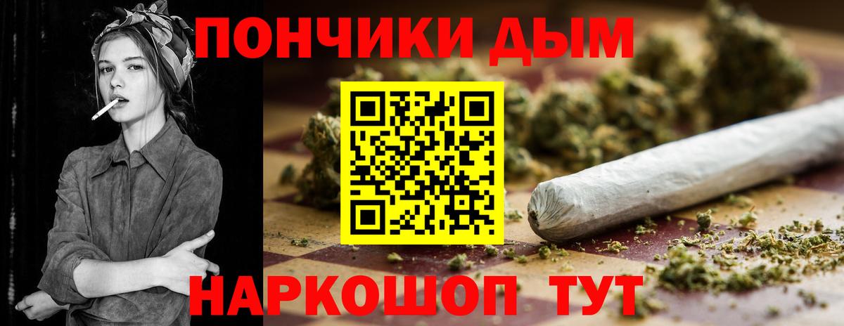 Конопля ГИДРОПОН  Октябрьский  Конопля Ganja  Канабис индика 